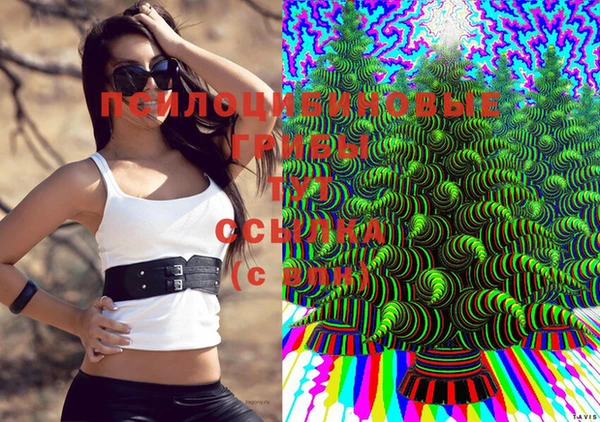 молекула духа Алексеевка