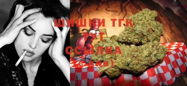молекула духа Алексеевка
