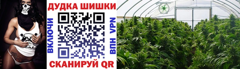Шишки марихуана гибрид  Игарка 